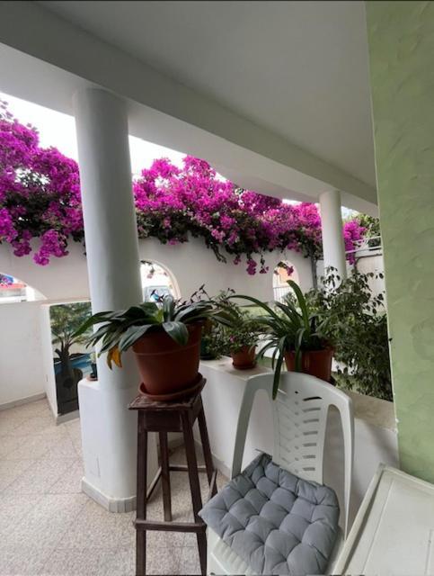 Bed and Breakfast Vivenda Viviani Praia Exterior foto