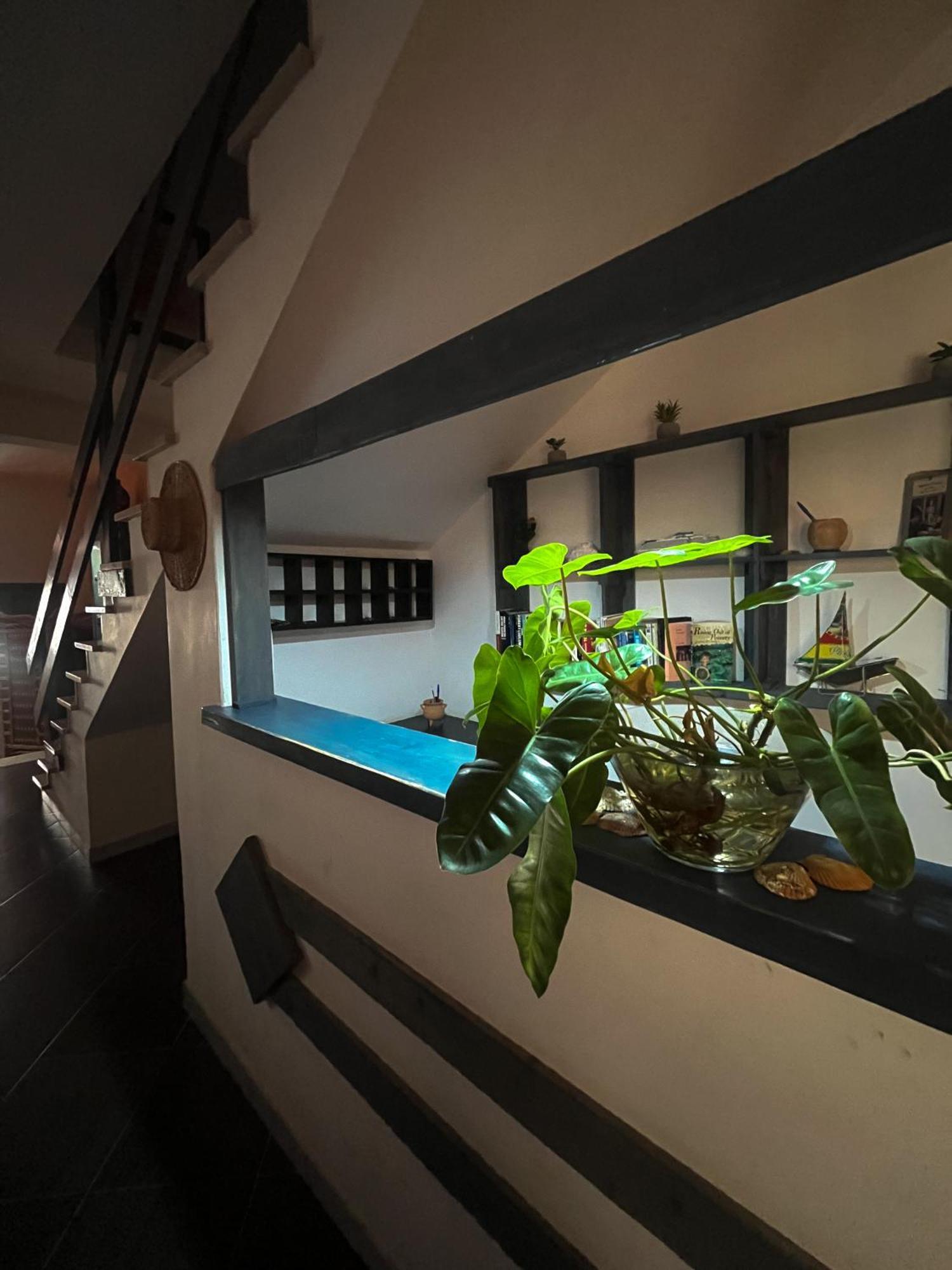 Bed and Breakfast Vivenda Viviani Praia Exterior foto